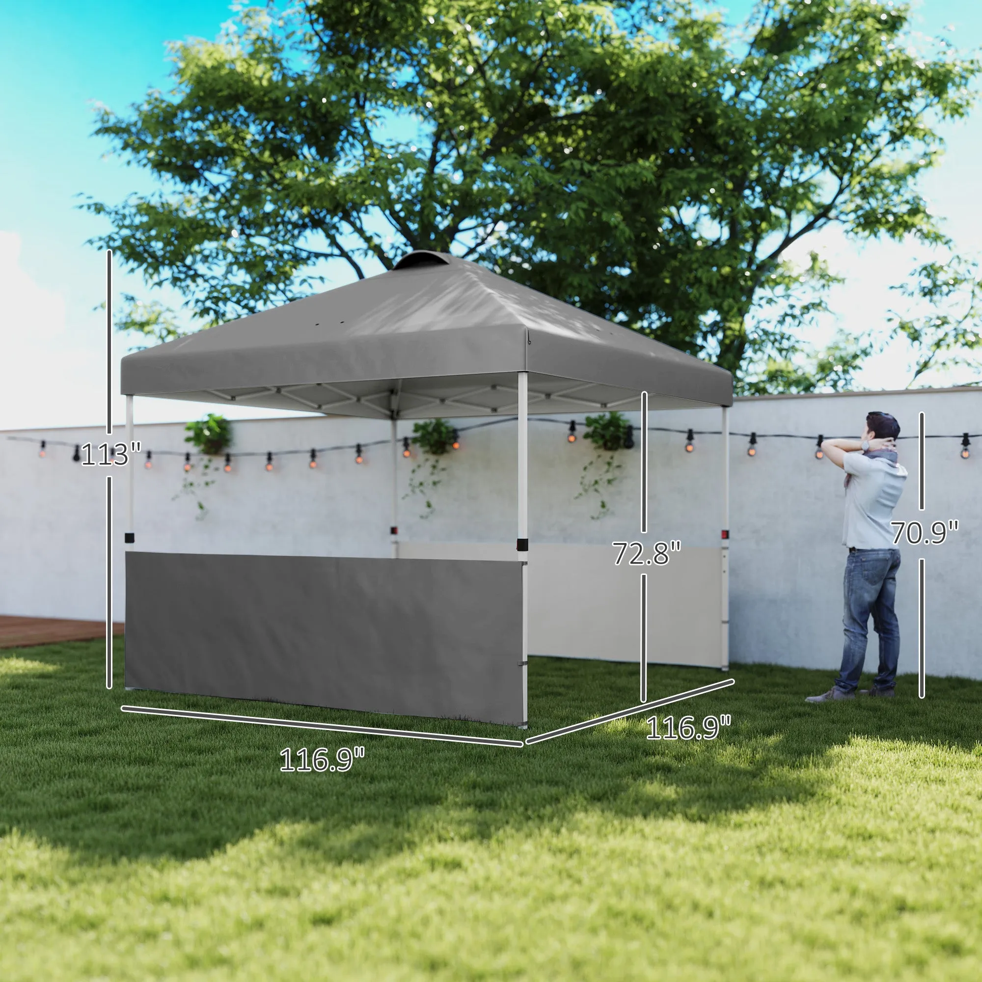 10' x 10' Canopy Tent with UV50  & Wheeled Bag, 2 Half Sidewalls, Dark Gray