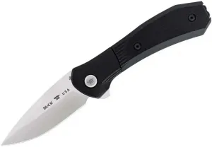 Buck Knives BU590BKS: Paradigm Linerlock A/O Black