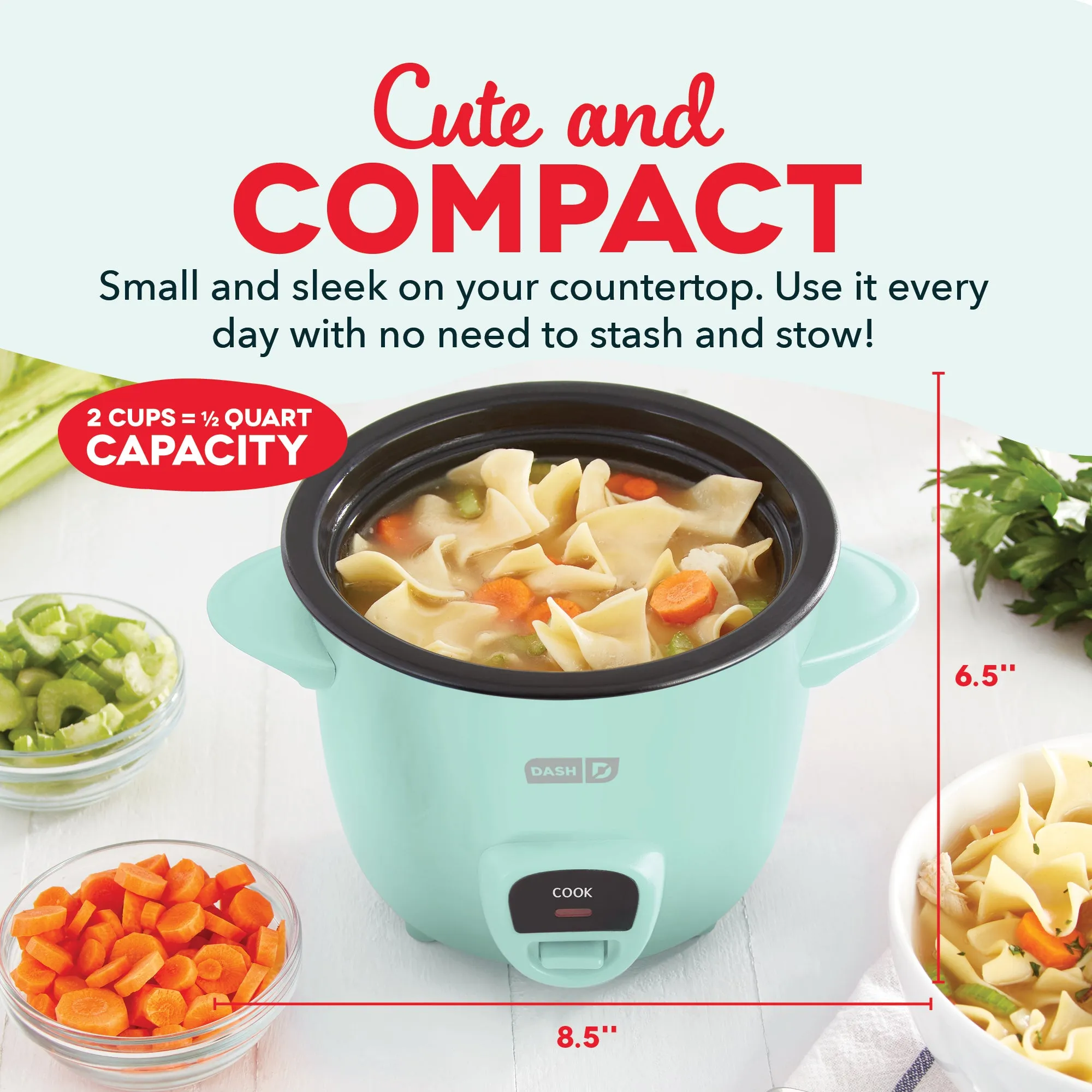 Compact Rice Cooker