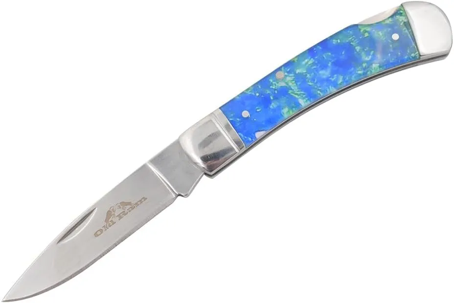 Every Day Carry Lock-Back Manual Folding Outdoor Hunting Camping Knife (Blue)