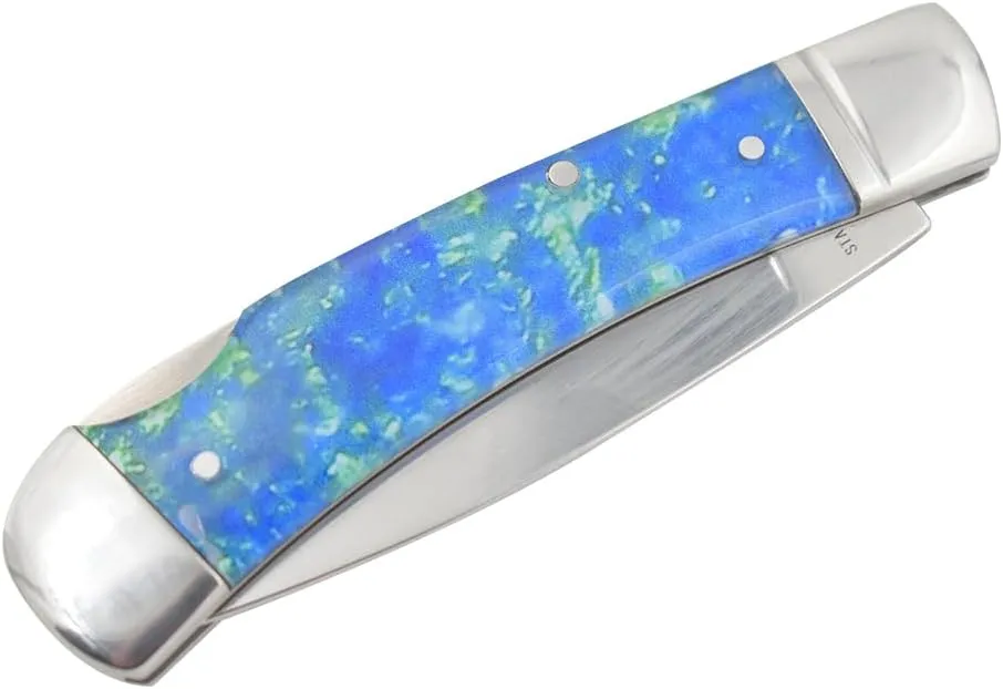 Every Day Carry Lock-Back Manual Folding Outdoor Hunting Camping Knife (Blue)