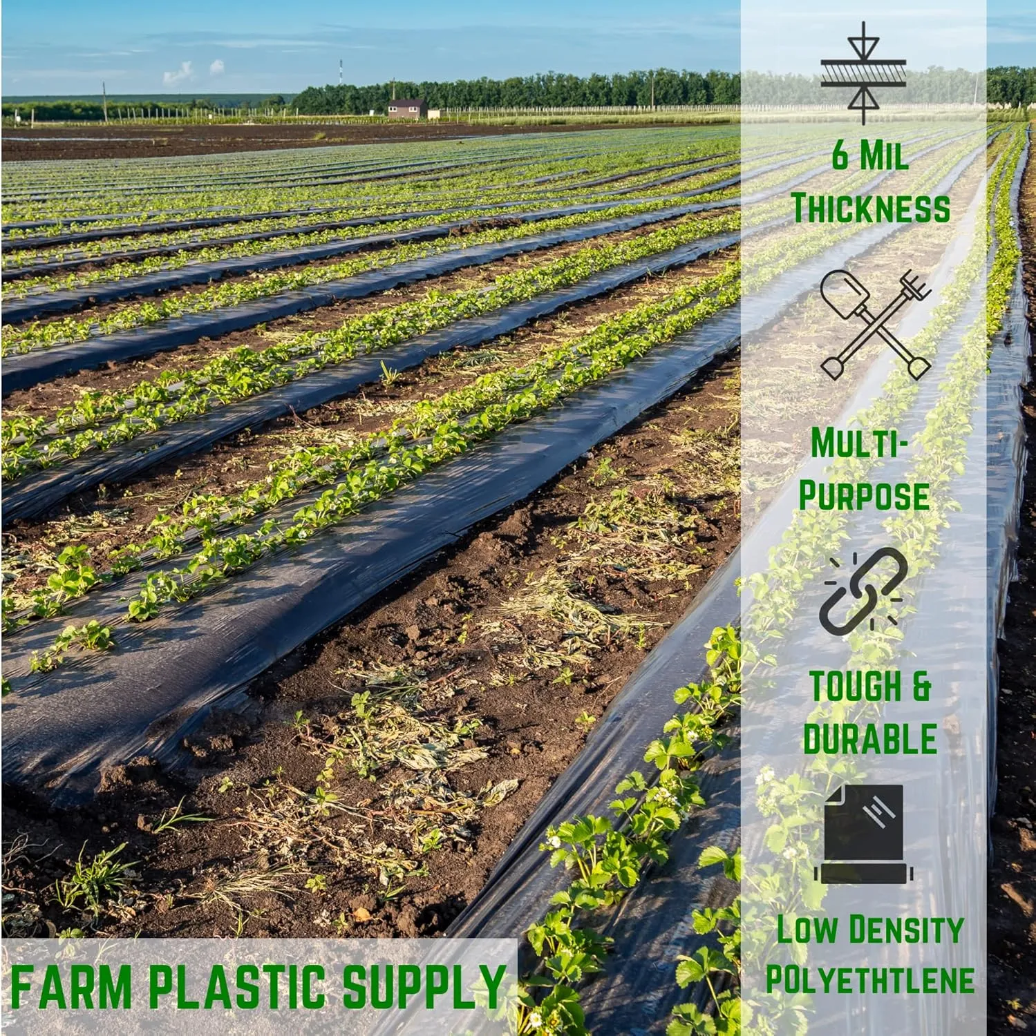Farm Plastic Supply - Black Plastic Sheeting - 6 mil - (10' x 100') - Black Plastic Tarp, Polyethylene Vapor Barrier Plastic Sheeting, Black Painters Tarp, Roll of Heavy Duty Plastic