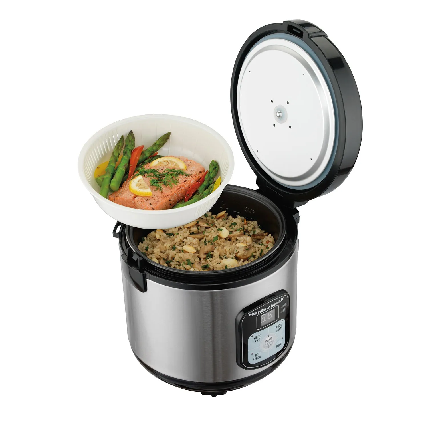 HAMILTON BEACH 8-Cup Digital Rice Cooker - 37518