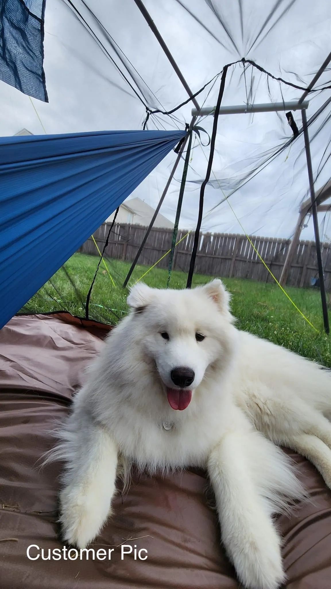Hive Hammock Stand