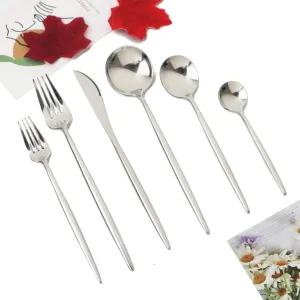 JASHII 24 Pieces Cutlery Flatware Set 304 Stainless Steel Home Kitchen Set, Mirror Polished, Knife/Fork/Spoon, Modern Elegant Tableware Set for Party, Christmas, Dinner (Silver)