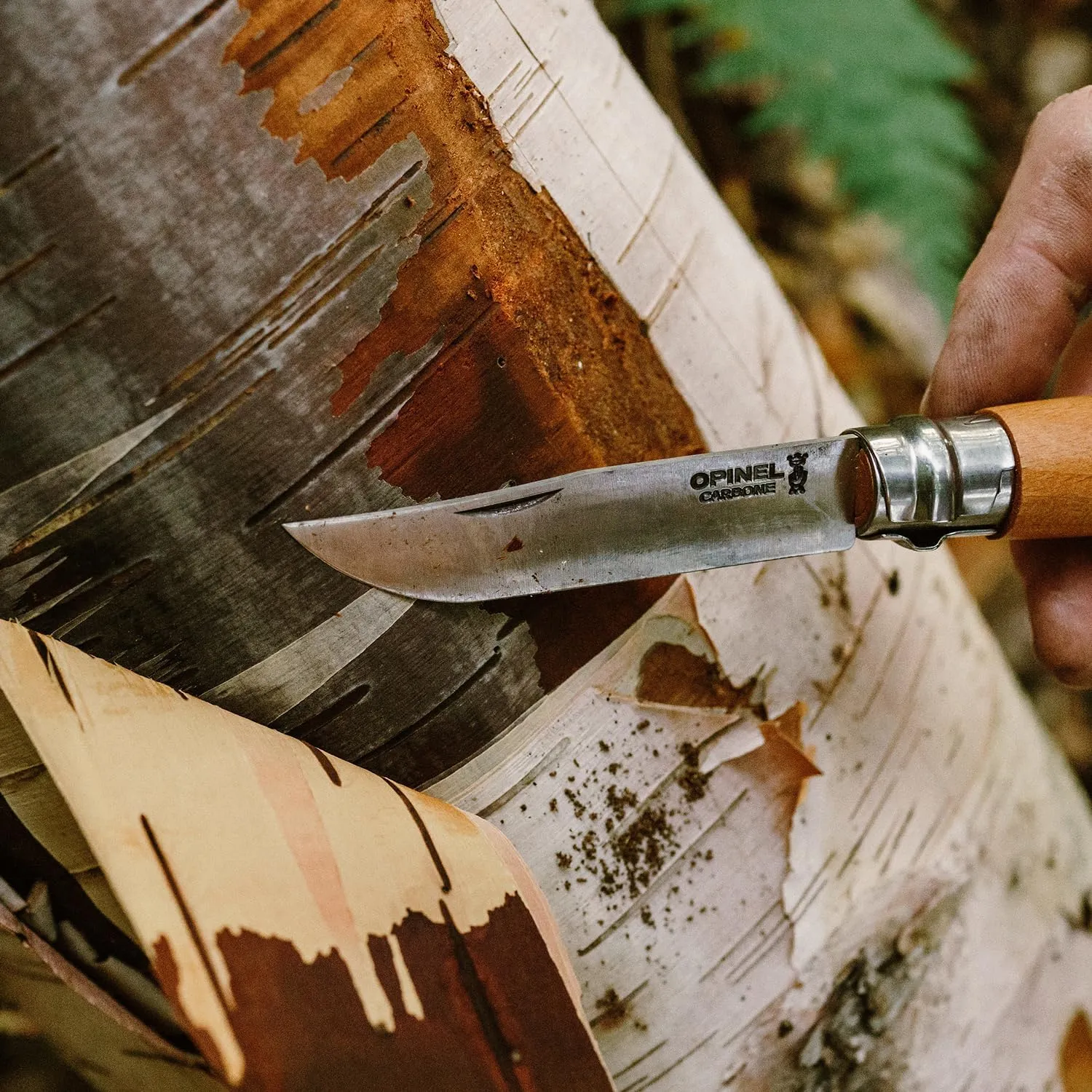 Opinel No.06 Carbon Steel Folding Pocket Knife with Beechwood Handle