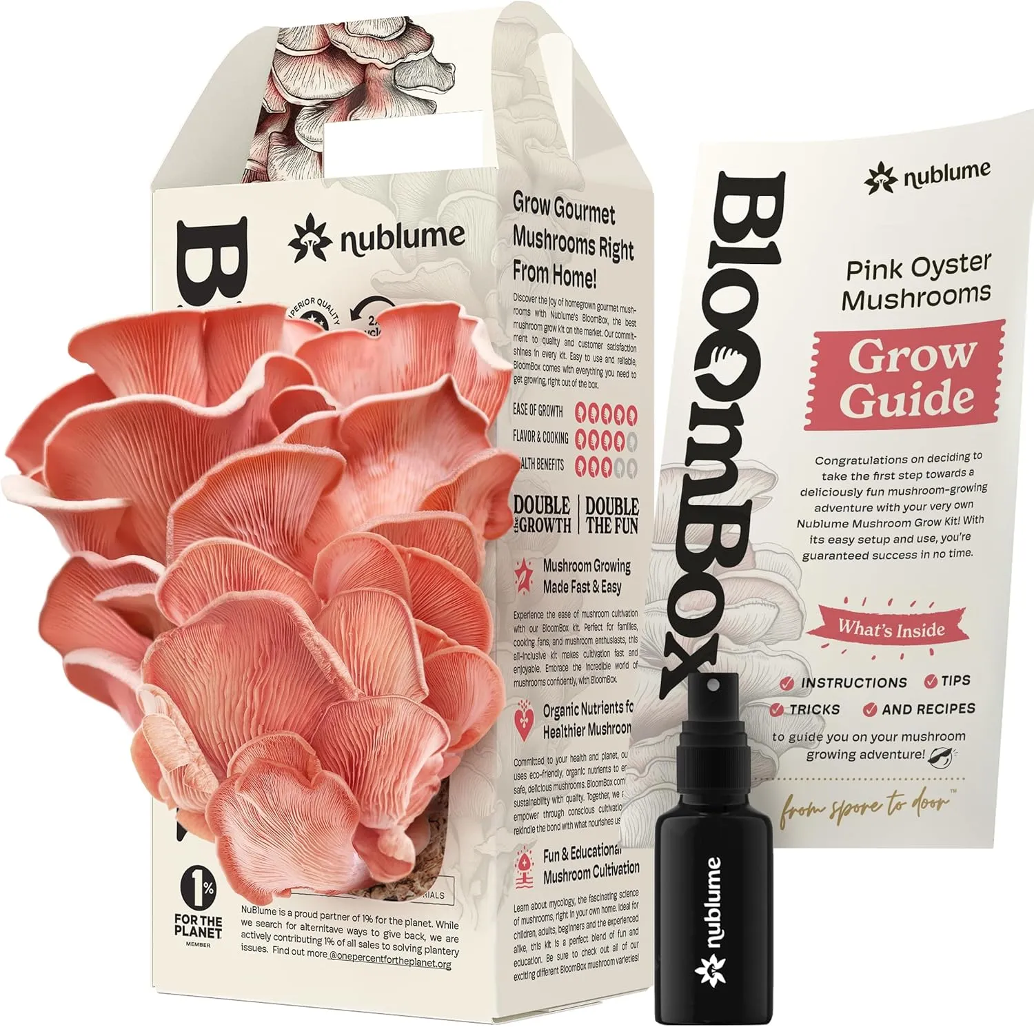 Pink Oyster Mushroom Grow Kit, Grow Your Own Fresh Gourmet Mushrooms at Home, Includes Instructions and Recipes (Pink Oyster)
