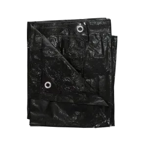 Rip Stop Tarp - 6 Ft X 8 Ft - Green
