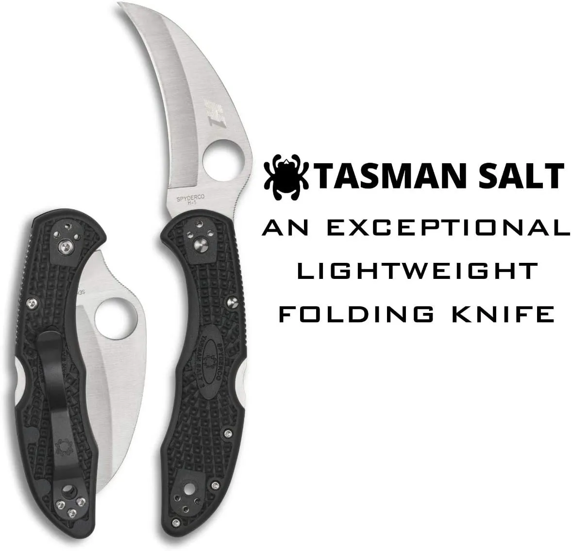 Spyderco C106PBK2 Tasman Salt 2 Black Handle 2.91" Plain Edge Pocket Knife
