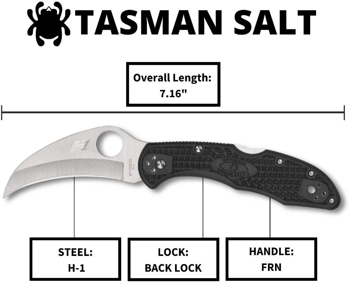 Spyderco C106PBK2 Tasman Salt 2 Black Handle 2.91" Plain Edge Pocket Knife
