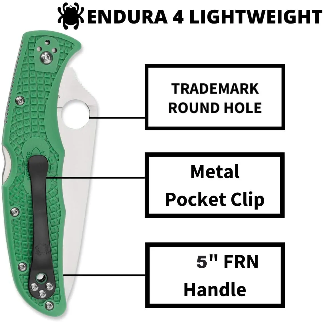 Spyderco Endura 4 Lightweight 3.80" Green Flat Ground Folding Plain Edge Pocket Knife (C10FPGR)