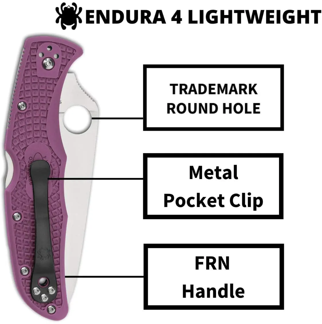 Spyderco Endura 4 Lightweight Purple Flat Ground 3.80" Plain Edge Folding Pocket Knife (C10FPPR)