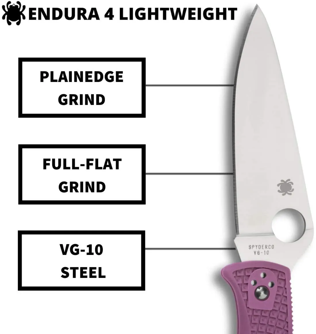 Spyderco Endura 4 Lightweight Purple Flat Ground 3.80" Plain Edge Folding Pocket Knife (C10FPPR)