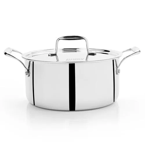 VINOD Doniv Titanium Triply Stainless Steel Sauce Pot with Cover 22 cms, Capacity 4.00 Liter